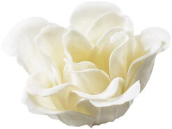 Pearl 12 Savons En Forme De Roses Blanches Avec 2 Coffrets Cadeaux -Maison Produit Magasin 12 savons en forme de roses blanches avec coffret cadeau ref NC9238 1