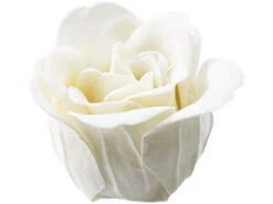 Pearl 12 Savons En Forme De Roses Blanches Avec 2 Coffrets Cadeaux -Maison Produit Magasin 12 savons en forme de roses blanches avec coffret cadeau ref NC9238 4