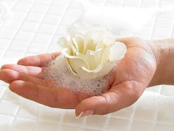 Pearl 6 Savons En Forme De Roses Blanches Avec Un Coffret Cadeau 9 Pearl 6 Savons En Forme De Roses Blanches Avec Un Coffret Cadeau -Maison Produit Magasin 6 savons en forme de rose blanc creme dans un coffret cadeau ref NC3180 1