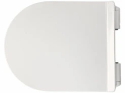 Abattant De WC Universel En D Avec Frein De Chute -Maison Produit Magasin abattant de wc universel en d avec frein de chute ref ZX7014 1 1