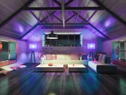 Capteur De Qualité De L’air 5 En 1, Enregistreur De Données, Ampoule Connectée 34 Capteur De Qualité De L’air 5 En 1, Enregistreur De Données, Ampoule Connectée -Maison Produit Magasin capteur de qualite de l air 5 en 1 enregistreur de donnees ampoule connectee ref ZX5109 7