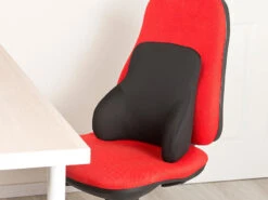 Coussin Ergonomique Dorsal En Mousse à Mémoire De Forme 12 Coussin Ergonomique Dorsal En Mousse à Mémoire De Forme -Maison Produit Magasin coussin ergonomique dorsal en mousse a memoire de forme ref NX1510 5