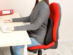 Coussin Ergonomique Dorsal En Mousse à Mémoire De Forme 13 Coussin Ergonomique Dorsal En Mousse à Mémoire De Forme -Maison Produit Magasin coussin ergonomique dorsal en mousse a memoire de forme ref NX1510 6