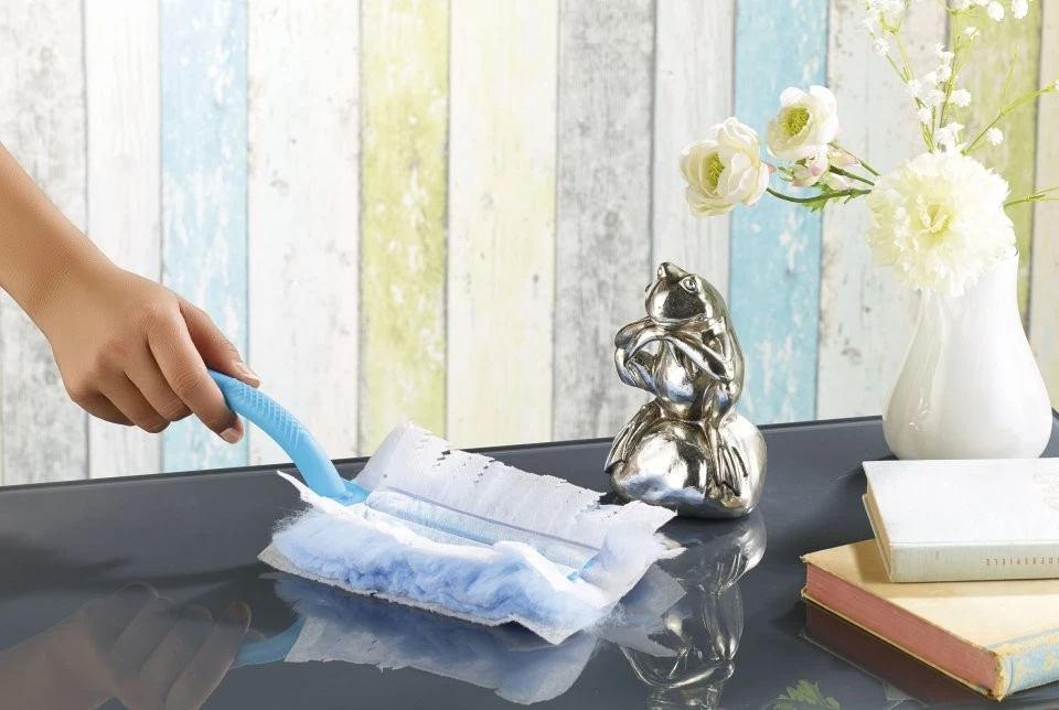 Pearl 4 Plumeaux Anti-poussière Avec 16 Embouts De Rechange 6 Pearl 4 Plumeaux Anti-poussière Avec 16 Embouts De Rechange – Image 4